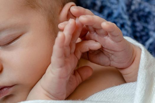 Close-up of little baby handles. The sleeping Newborn boy under a white knitted blanket lies on the blue fur. Newborn. 14 days.