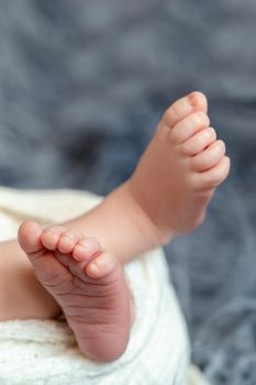 Close-up of small baby legs. The sleeping Newborn boy under a white knitted blanket lies on the blue fur. Newborn. 14 days.