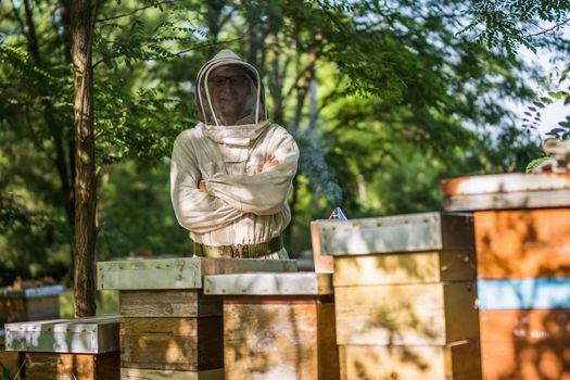 Beekeeper is examining his beehives in forest. Beekeeping professional occupation.