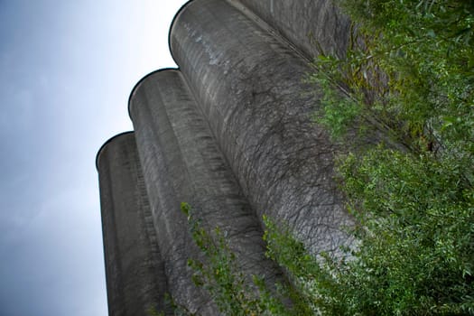 Four old concrete silos and green trees