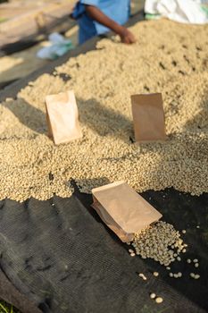 Top view of paper bags with coffee located on the tables at the coffee washing station