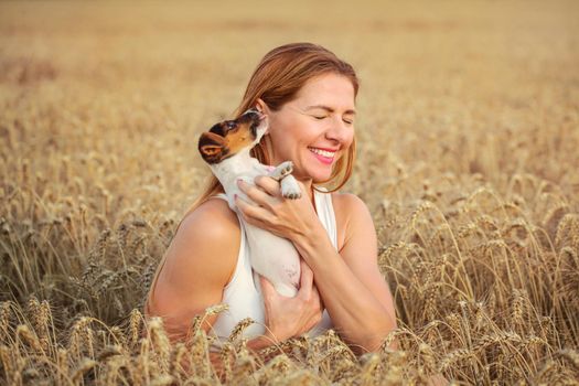 Young woman in wheat field holding Jack Russell terrier puppy, that is licking her ear.