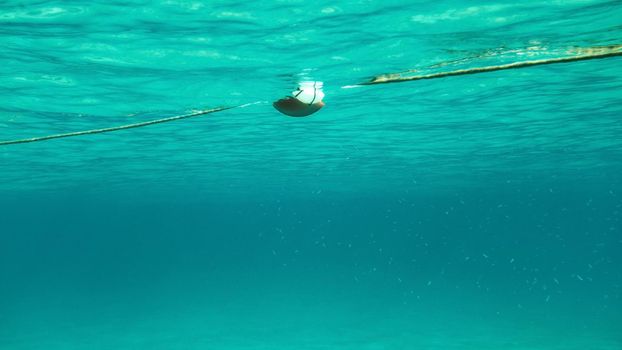 Underwater photo - swimming towards rope with sea buoy, shoal of small fish on the right. Abstract marine background.