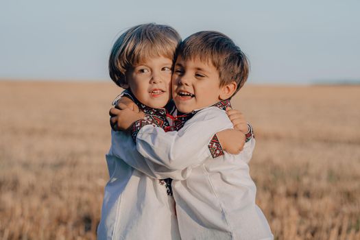 Smiling little ukrainian boys. Children together in traditional embroidery vyshyvanka shirts. Ukraine, brothers, freedom, national costume, win in war. High quality photo