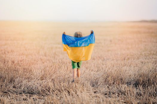 Happy little boy - Ukrainian patriot child with national flag in field after collection wheat, open area. Ukraine, peace, independence, freedom, win in war. High quality photo
