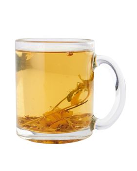 Herbal tea in cup on white background