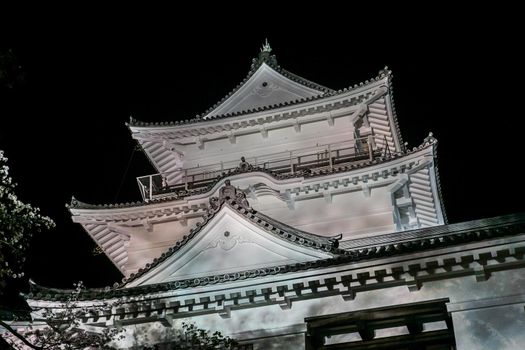 Odawara Castle and Night Sakura. Shooting Location: Odawara City, Kanagawa Prefecture