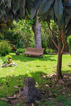 Wooden bench in the green garden on a sunny day