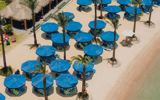 Aerial view above tropical beach in luxury hotel with umbrella parasols and palm trees
