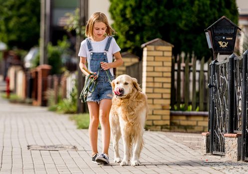 Preteen girl with golden retriever dog walking at street. Pretty child kid with purebred dog labrador in park outdoors.