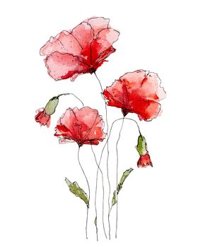 Watercolor flowers paintings for postcards and greetings. Floral poppies blossom art
