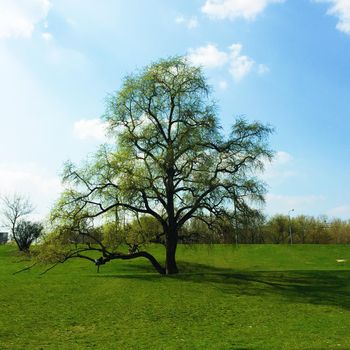 spring landscape scenery - beauty in nature, landscapes and environment concept, elegant visuals