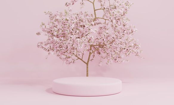 Minimal style cylinder pink product podium showcase with cherry blossom tree or "Sakura" in Japanese language at public garden. Technology and object concept. 3D illustration rendering