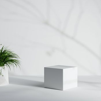 White minimal product podium with houseplant and tree trunk and leaves shadow background. 3D illustration rendering