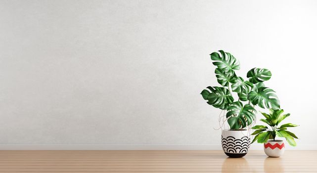 Green plants in houseplants pot with white empty wall background. Interior architecture and natural concept. 3D illustration rendering