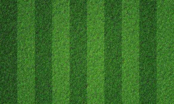 Soccer field in football stadium with line grass pattern. Sport background and athletic wallpaper concept. 3D illustration rendering