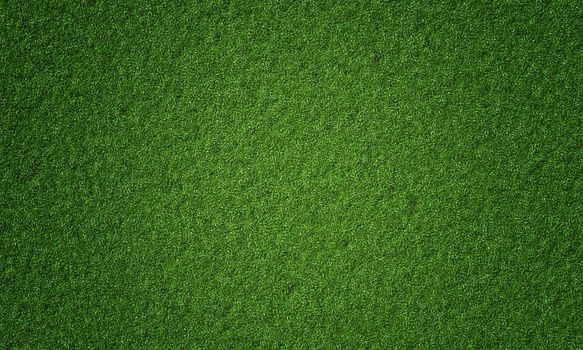Top view of natural fresh green grassy background. Nature and wallpaper concept. 3D illustration rendering