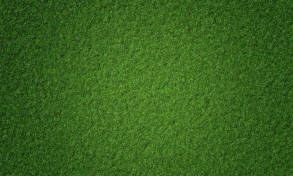 Top view of natural fresh green grassy background. Nature and wallpaper concept. 3D illustration rendering