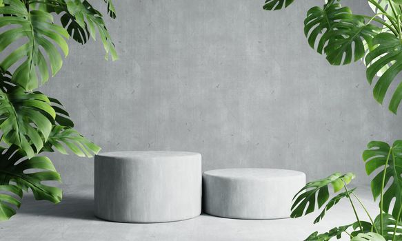 Two round podiums in grey loft color background with Monstera plant foreground. Abstract wallpaper template element and architecture interior object concept.3D illustration rendering