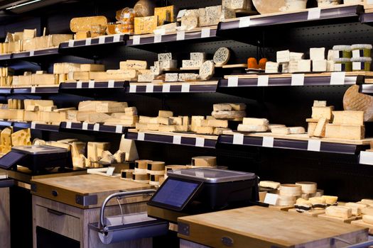 Large display of cheeses on a dairy shop