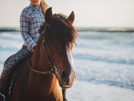 shof of blonde woman sitting on black horse at sea beach. Beautiful woman wearing casual clothing enjoying sunrise morning close to ocean water.