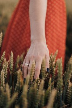 Close up of woman's hand touching wheat in field