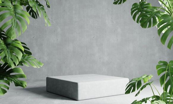 One rectangle podium in grey loft color background with Monstera plant foreground. Abstract wallpaper template element and architecture interior object concept.3D illustration rendering