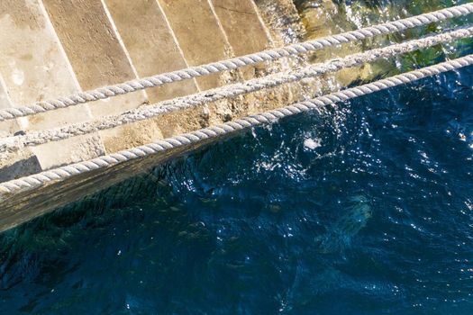 Top view of a staircase leading into the water with stretched white ropes and a bright ocean background