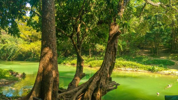 Panoramic exotic  beautiful tropical deep rainforest waterfall   Fresh waterfalls in deep forest