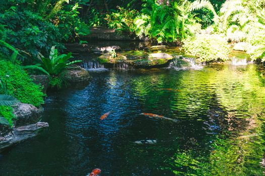 Panoramic exotic  beautiful tropical deep rainforest waterfall   Fresh waterfalls in deep forest