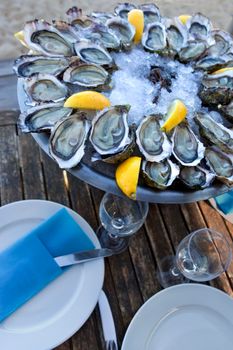 Plate of oysters and lemon on a wooden table