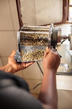 Cropped photo of female hands of worker holding bowl and pouring coffee beans for sorting