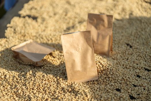 Close up of paper bags on coffee washing station in region of eastern Africa