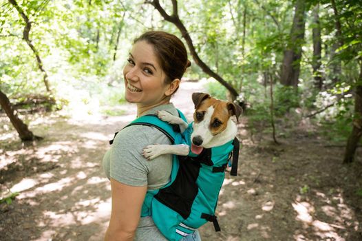 Caucasian woman walking outdoors with dog jack russell terrier in a special backpack