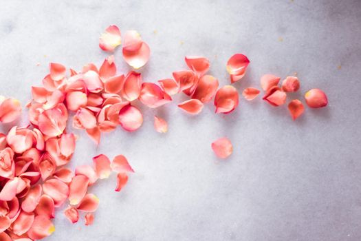 coral rose petals on marble, color of the year - flower backgrounds and holidays styled concept