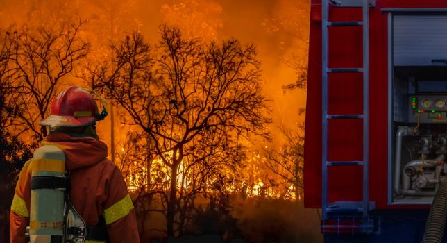 Firefighter extinguishing  wildfire with fire truck