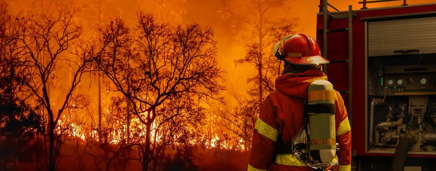 Firefighter extinguishing  wildfire with fire truck