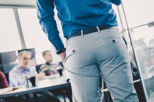 Business man making a presentation at office. Business executive delivering a presentation to his colleagues during meeting or in-house business training. Rear view. Business and entrepreneurship.