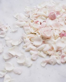 rose flower petals on marble - wedding, holiday and floral garden styled concept, elegant visuals