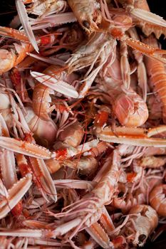 Fresh scampi on the stall in a fish store