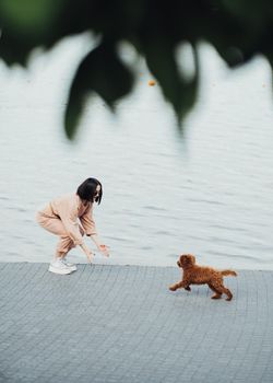 Redhead dog toy poodle walking with woman outdoors, female owner of little four paws pet