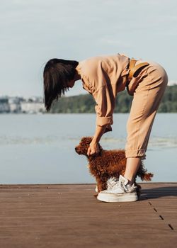 Redhead dog toy poodle walking with woman outdoors, female owner of little four paws pet