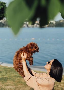 Young brunette woman happy owner of redhead dog toy poodle, adult girl holding on hands her four paws pet