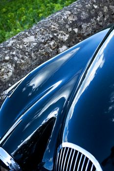 Close up of a blue car body among vineyards