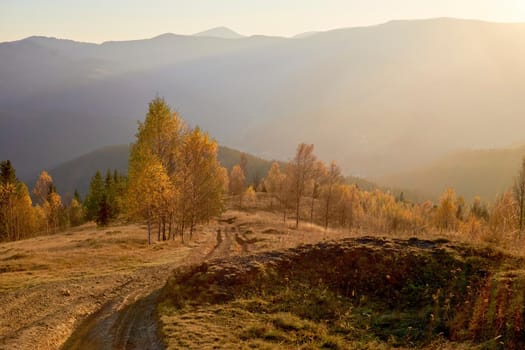 Autumn is one of the four temperate seasons. Outside the tropics, autumn marks the transition from summer to winter. Golden bright autumn and rural road in the mountains on a warm day.