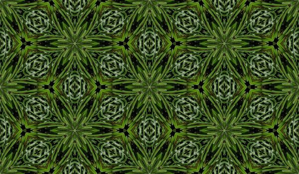 Abstract seamless texture from photo of fir branches.