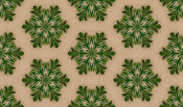Abstract seamless texture from photo of fir branches on a wooden background.
