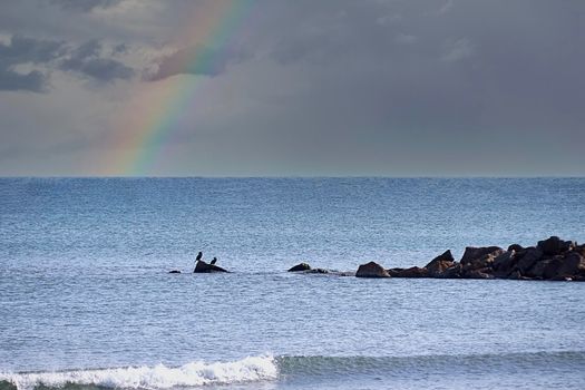Two birds on a rock in the sea with rainbows. Rocks, calm sea, sky with clouds, minimalist, rocks