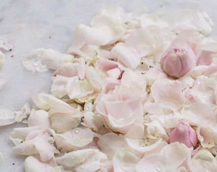 rose flower petals on marble - wedding, holiday and floral garden styled concept, elegant visuals