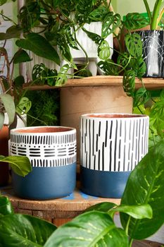 earthenware pot for plants on a wooden table with green plant background. catalog of plant pots. clay pot for plants.